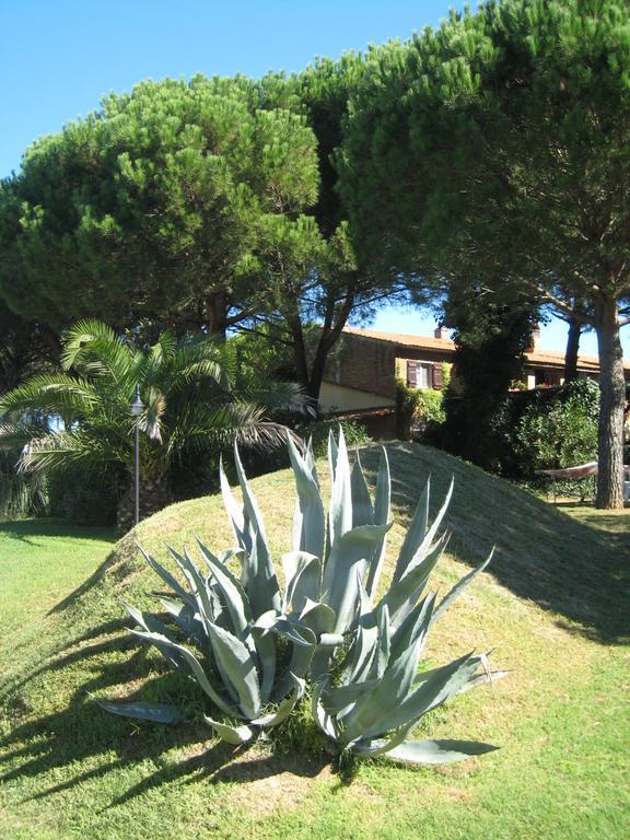 Appartement Casa Terra Rossa à Fauglia Extérieur photo